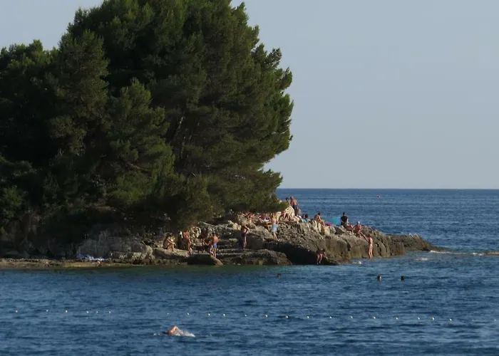 Stoja Pula